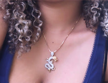 Load image into Gallery viewer, Dragon Necklace
